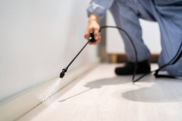 Licensed Fumigation Services service in Rock Port, MO - Nex Pest Control