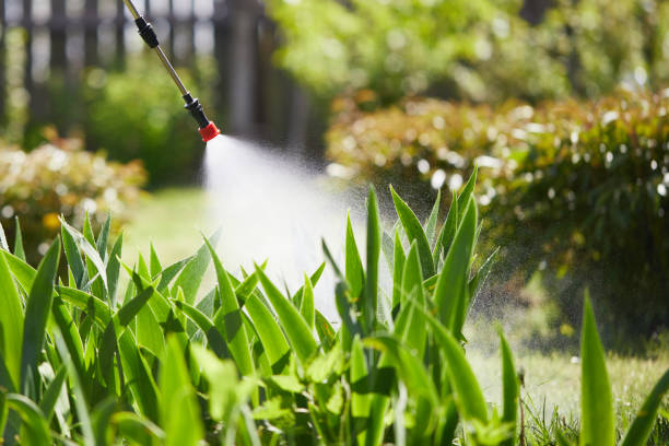 24/7 Emergency Fumigation Services experts in Rock Port, MO