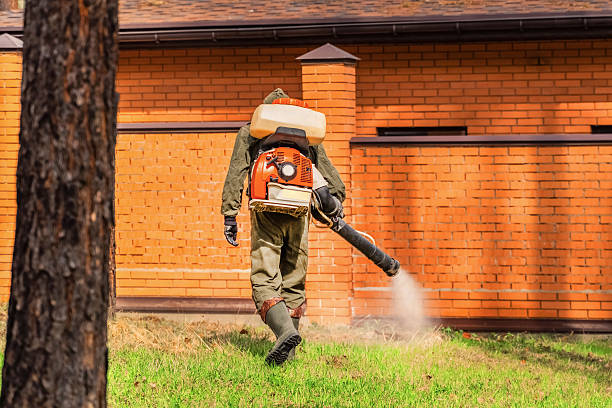 Trusted Fumigation Services service in Rock Port, MO - Nex Pest Control